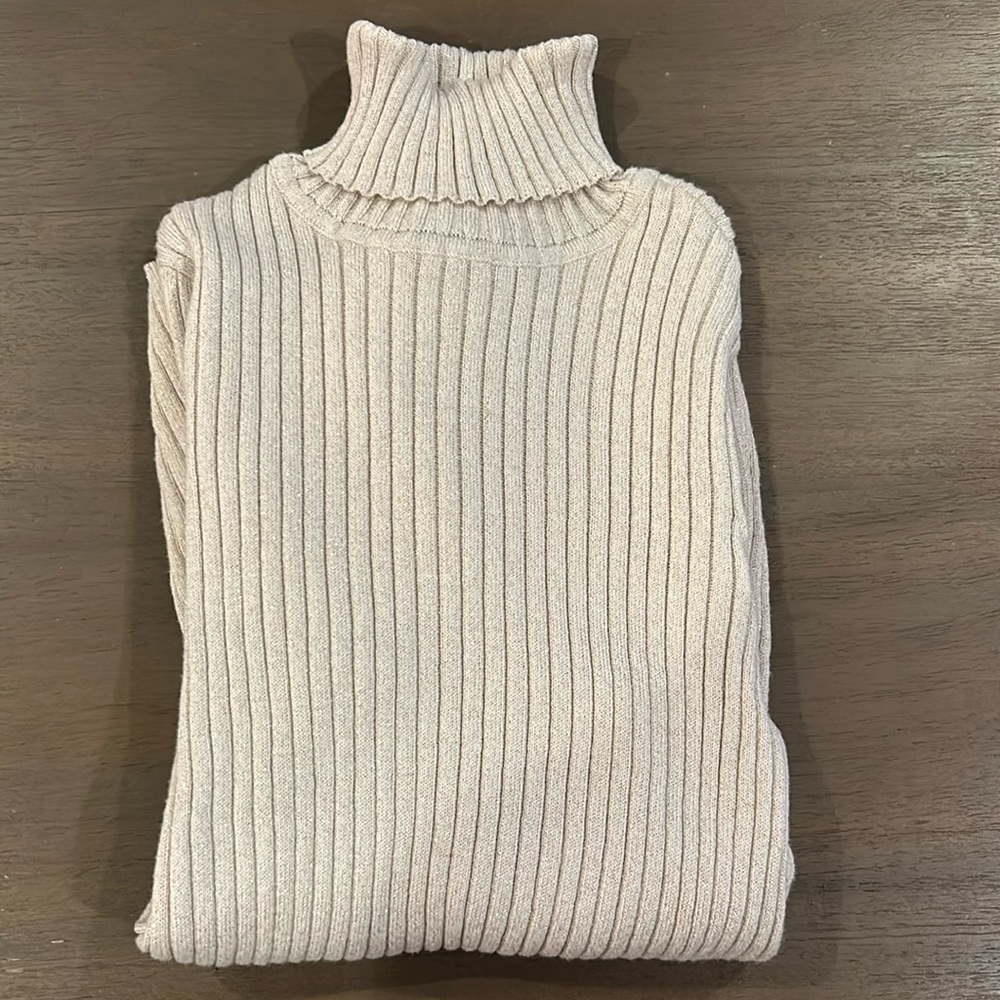 Chicos ribbed turtleneck with a touch of glitter.